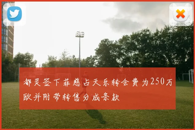 都灵签下菲慈占天乐转会费为250万欧并附带转售分成条款